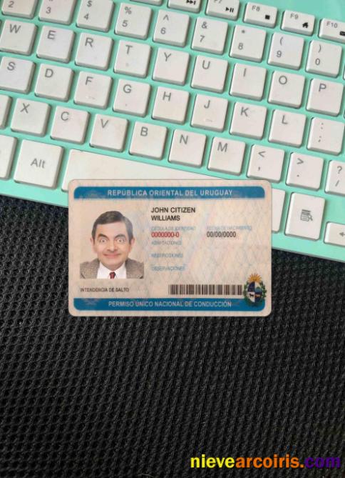 Uruguay driving license photolook